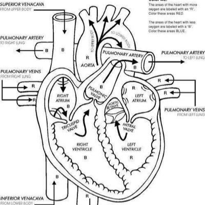 Damos RT a las cuentas que comparten #Medicina #Salud