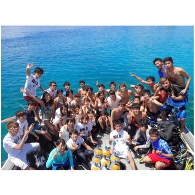 harpshinkan2016's profile picture. 公式アカウント→@HARPSEAL1  2017年度版新歓アカウント→@HARPSEAL2017