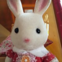 くまたん (@kumatan_design) 's Twitter Profile
