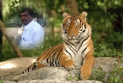 PandhrinathL's profile picture. 