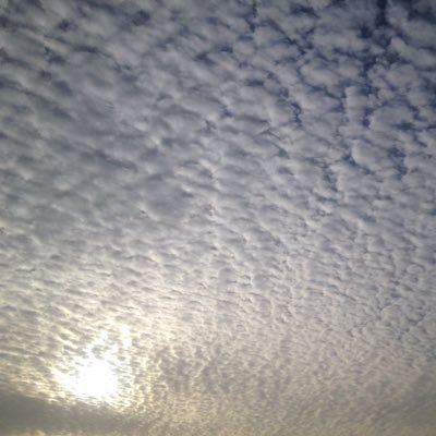 bakrybander1's profile picture. لا اله اللى أنت سبحانك # اللهم اغفر لي و لوالدي والمسلمون اجمعين