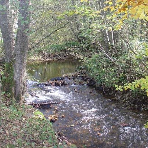 B&B, appartementen, hotel, MTB,wandelen,wielrennen,kajak, klimmen,arrangementen,verblijven,Wellness,organisatie,groepsuitje,familie, weekend,bedrijf,Ardennen.