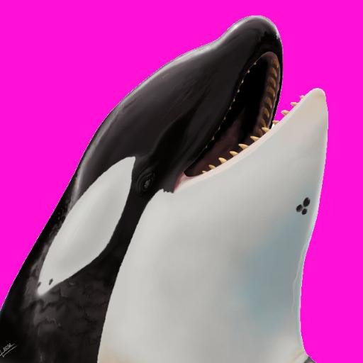 Climate Justice from the perspective of a meangirls whale. Stop trying to make tankers happen, Trudeau. It's not gonna happen