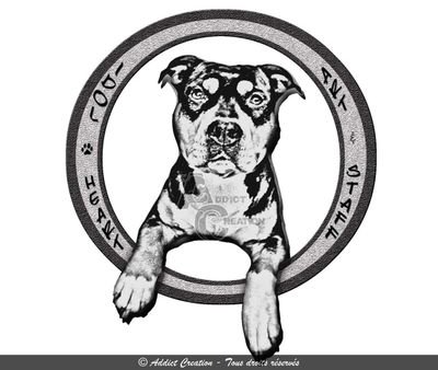 IdolAmstaff's profile picture. Jeune American Staffordshire Terrier, tricolore, de 2 ans. Formé pour la tv, le cinéma etc... Afin de changer les mentalités vis à vis de ces toutous. #amstaff