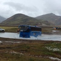 TREX Travel Iceland (@trex_travel) 's Twitter Profile