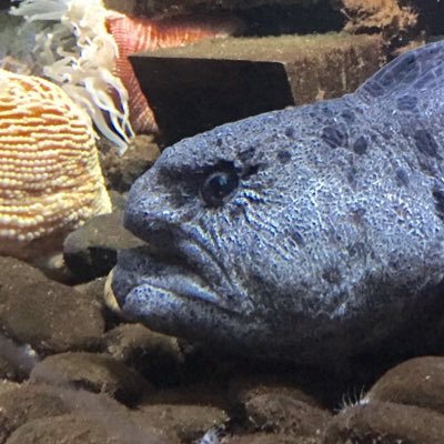 OuinSaint's profile picture. 