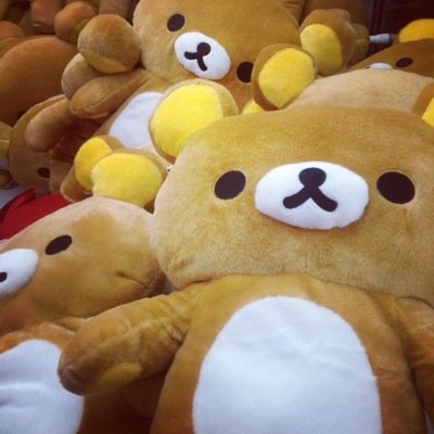 McNoods's profile picture. RN/Futbol/Healthcare: prenatal to grave/The very first requirement in a hospital is that it should do the sick no harm -Florence Nightingale