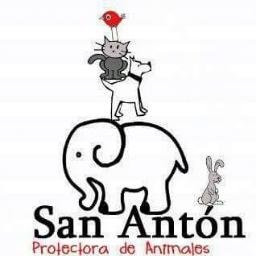 Protectora de Animales San Antón.
Quererlos es nuestra vida, buscarles un hogar nuestro objetivo; nos ayudas?