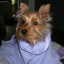 jameson sean appel - @seanjameson421 - Twitter