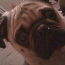 Kerri Coffey - @Karebear1966 - Twitter