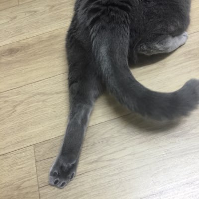 goldnslumber's profile picture. 그냥 합니다