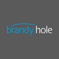 Brandy Hole(@Brandy_Hole) 's Twitter Profile Photo