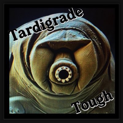 Tardigrade tough headgear. Innovating headgear for the future.