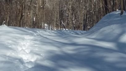 amcox16's profile picture. 