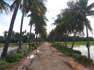 MoopanarS's profile picture. 