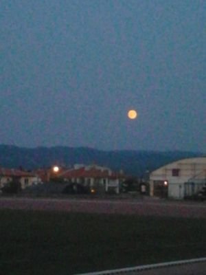 ShametAydin's profile picture. 