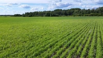 Northern alberta farmer. travel and airline enthusiast. edmonton oilers fan