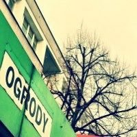 Pętla Ogrody Poznań Jestem tu codziennie. Transfer. Czekanie. Papieros. Zakupy. Autobusy i tramwaje. Bankomat. Taxi. Apteka i cukiernia. Cukiernie