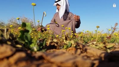 sgww3534's profile picture. 