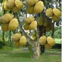 Sh 65 (@qwtusah) 's Twitter Profile