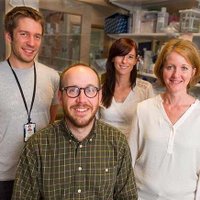 Björkström lab(@bjorkstrom_lab) 's Twitter Profile Photo