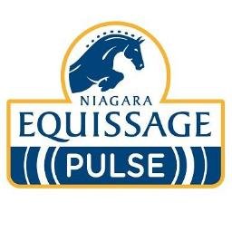 I am a service provider of the Equissage Pulse Therapy, based in Essex. Please contact me for details.