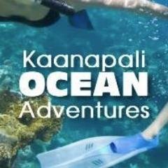 #Kaanapali Ocean Adventures offers jet boat rides, #snorkeling tours, whale watching (in season) and private charters. Experience an adventure of lifetime!