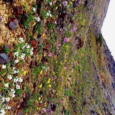 6543Ahmd's profile picture. 