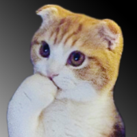 Cute & Funny Cats (@cutefunnycats1) 's Twitter Profile