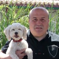 Juan Urra (@juanjuanurra1) 's Twitter Profile