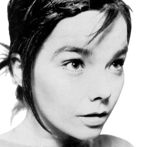 Björk BR