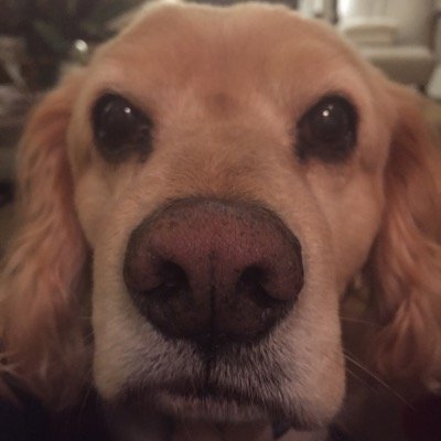 lauratred's profile picture. 