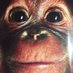 Rick Seretis (@rickseretis) Twitter profile photo Rick Seretis (@rickseretis) Twitter profile photo