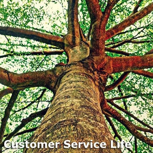 This is a blog by @jennysuedempsey and @jtwatkin about serving ALL of the customers in our lives better.