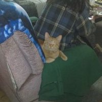 WILLEH LUMP-LUMP (@shaggysnod) 's Twitter Profile