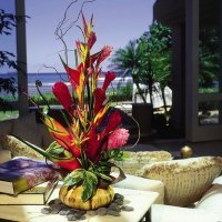 We're passionate about Tropical Exotic flowers and Hawaiian history