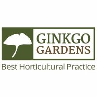 GinkgoGardens (@ginkgogardens) 's Twitter Profile