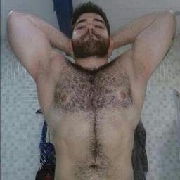 SealocklilyVil's profile picture. 