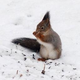 Самое интересное, что происходит в живой природе #животные #animal