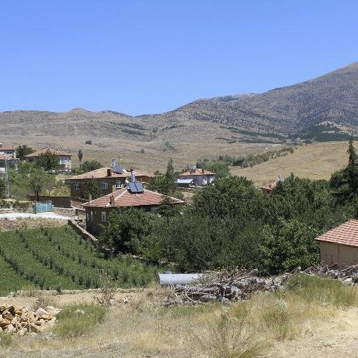 renkler_dunyasi's profile picture. 