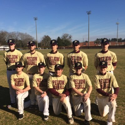 Official page of the 2017 Pelion Panthers Baseball Team.
