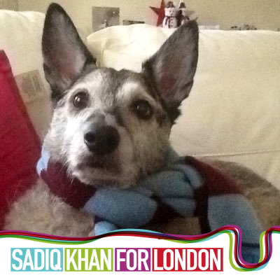 Passionate about my dog; West Ham; Labour party; and Peter Gabriel. A Labour local government hack and self-confessed localism obsessive