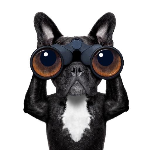 Mover amongst London’s hotel and concierge community, tweeting the latest news from behind the scenes; renowned for randomness in all things; all views my own.
