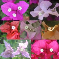 Yunqing Yu (@yunqing_yu) 's Twitter Profile Photo