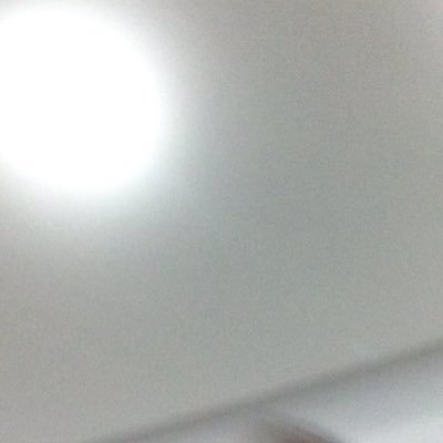 yuni_sara's profile picture. 