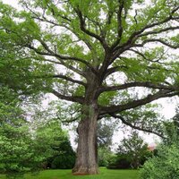 Heather H. Doherty (@heatherhdoherty) 's Twitter Profile