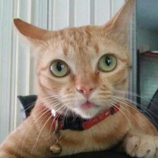 myTubbbbe's profile picture. 