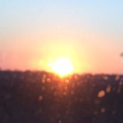 timbormannrpg's profile picture. 