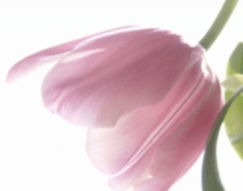 createweddings's profile picture. 