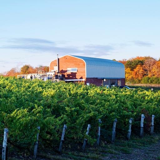 A small winery and vineyard in Prince Edward County. Tweets are a collaborative effort